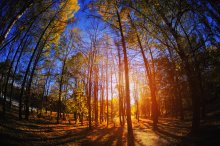 Herbst / ******