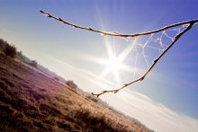 Chilly Herbstmorgen / ***