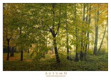 Herbst / ***
