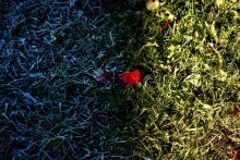 Winter Krieges und dem Fall / ***