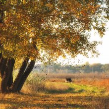 Ein warmer Tag im Herbst / ***