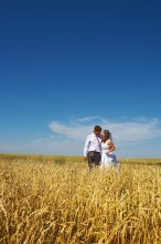 Feld / wedding