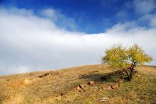 Über Steppe Herbst / ***
