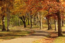 Herbst im Park / ***