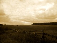 Feld / ***