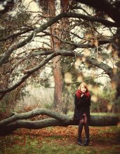 Wood / ***