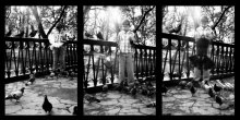Boy und Tauben. Triptychon. / ***