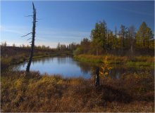 Taiga Herbst / ***