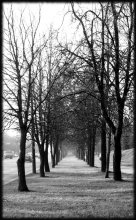 Abfallzeit / ***