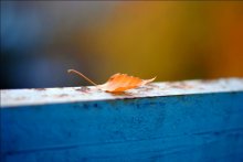 Herbst Einsamkeit / ***
