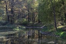 Herbst / -------------