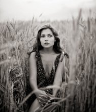 Xenia / ***
