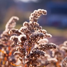 Herbst-Skizzen / ******