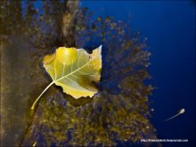 Herbst / ***