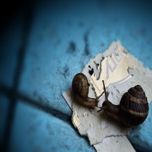 Baby aß eine Zigarette! / ***