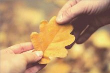 Warmer Herbst / *****