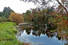 Herbst Teich / ***