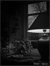 Herbstmorgen / ***