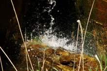 einen Moment innehalten / ***