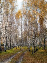 Herbst / ******
