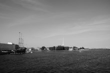 Rabbit Island / ***