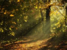 über die Herbst-Saison / ***