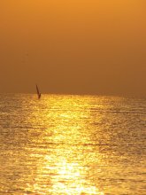 Gold Sea / ,,,,,,,,,,,,,