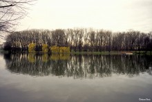 Reflexion des Herbstes / ***
