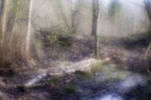 Frühlingslandschaft Nummer 1 / ***