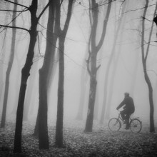 Fahrt durch den Nebel / .....