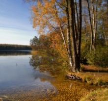 Ein weiterer Herbst ... / .....