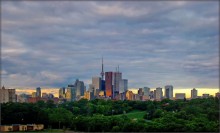 Toronto Blue Morgengrauen / ***