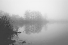 Nebel / ***