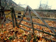 Herbst / ***