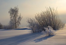 Winter pastoralen / ***