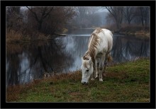 Morning Landschaft / ***