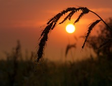Im Morgengrauen / ......