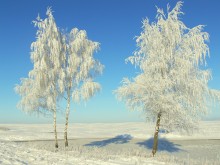 31. Dezember / -----