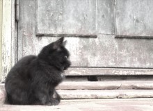 Obdachlos / ***