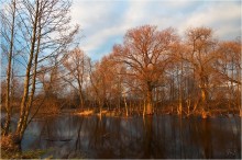 Warten auf Winter / ***