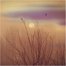 the mist / _____