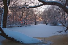 Tale of Winter Dämmerung / ***