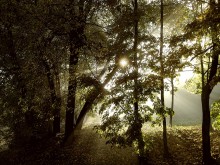 Gefüllt mit Licht (variant..) / *****