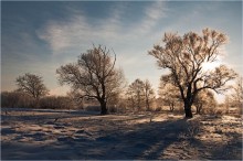 Frost und Sonne - ein wunderschöner Tag ... / ***