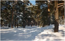 Vyatskie Winter / ***