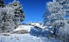 Wintersonne und einen schönen Tag / ***