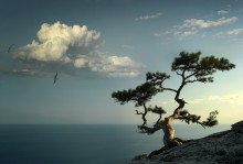 Das Gespräch mit dem Wind / *******