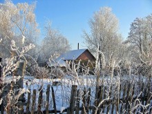 Winter / ***