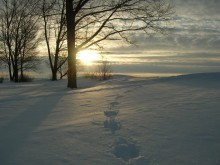 der Sonne entgegen / ********