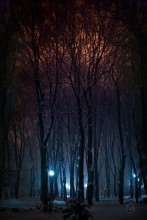 Licht im Winter / ***